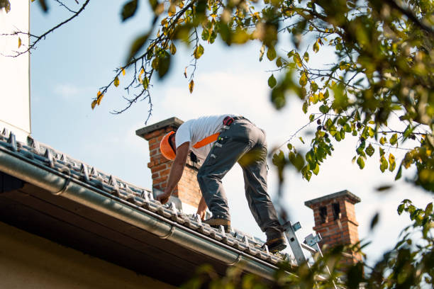 Best Gutter Installation and Repair  in Edina, MO