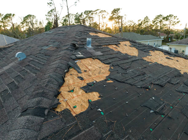 Best Asphalt Shingles Roofing  in Edina, MO