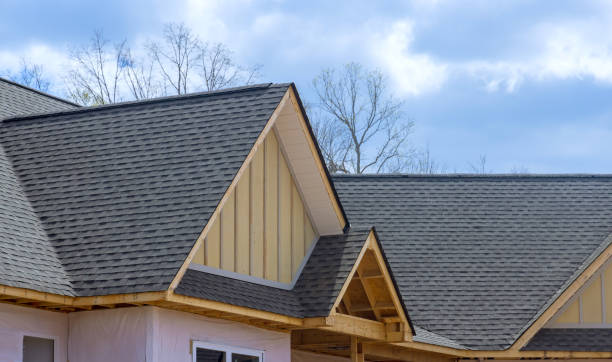 Best Roof Insulation Installation  in Edina, MO