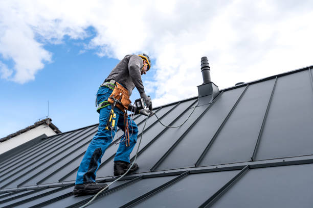 Best Roof Coating and Sealing  in Edina, MO